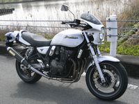 �傫�ȃT�C�Y�̉摜��\��