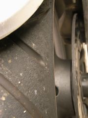 �傫�ȃT�C�Y�̉摜��\��