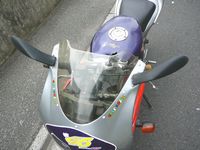 �E�T�M�̎�